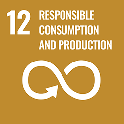 Responsible Consumption and Production Image